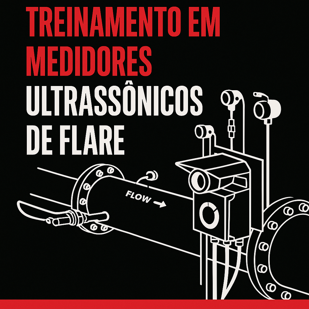 Treinamento em medidores ultrassônicos de flare
